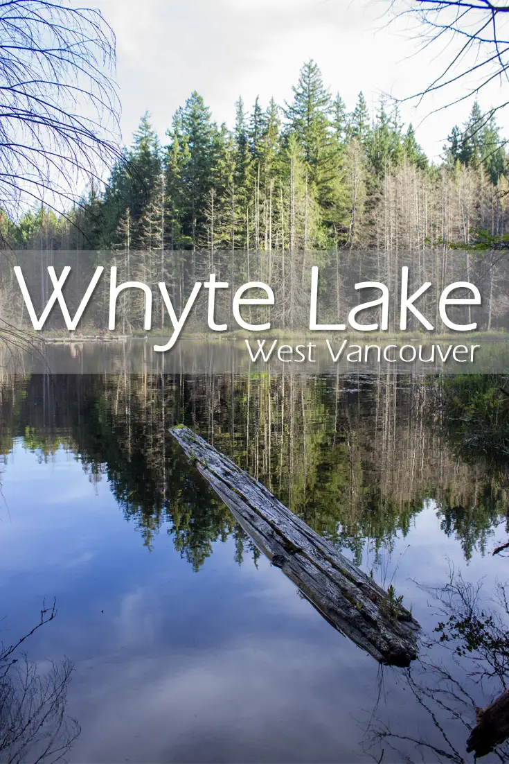 Whyte Lake Hike in West Vancouver 22 Whyte Lake Hike in West Vancouver