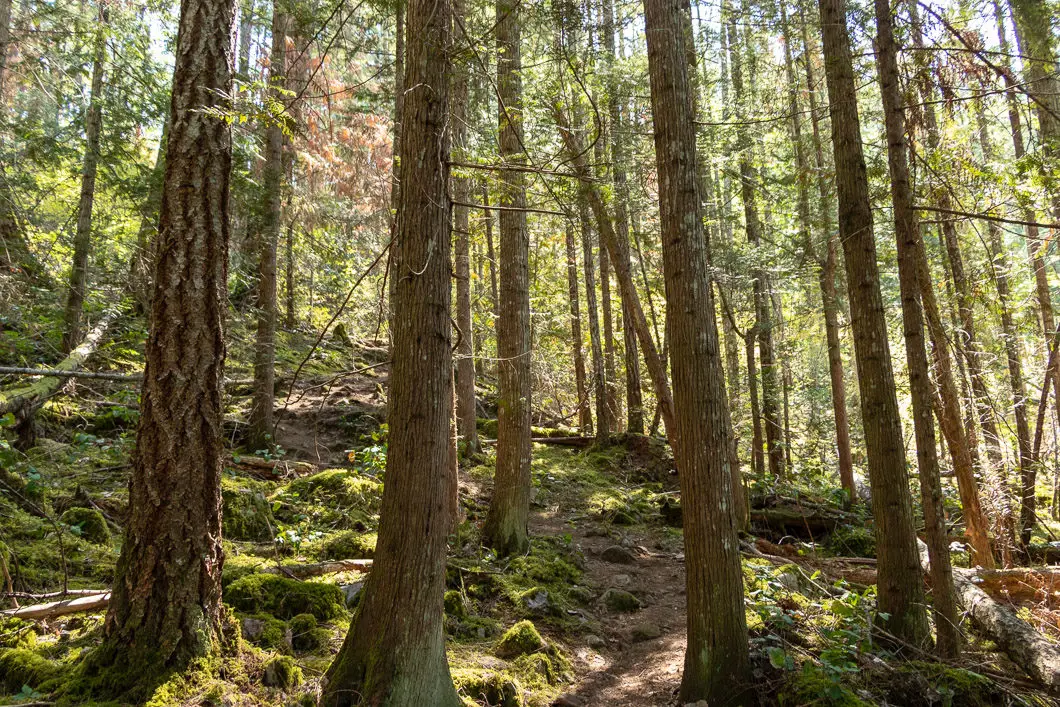 pender hill trail