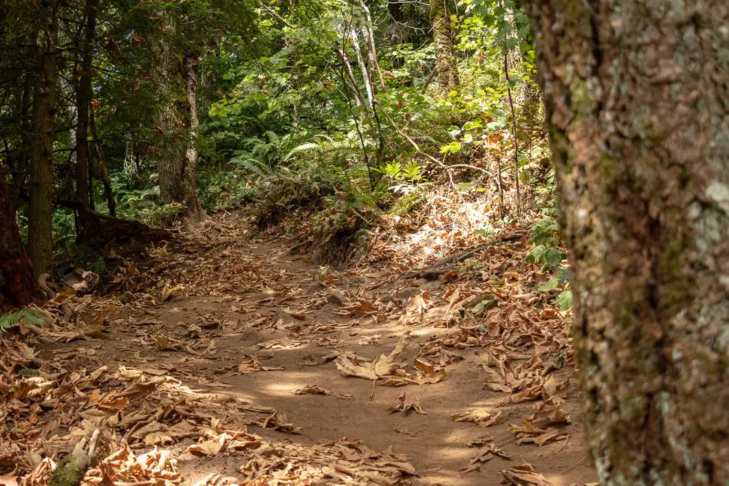 Glen Ryder Trail