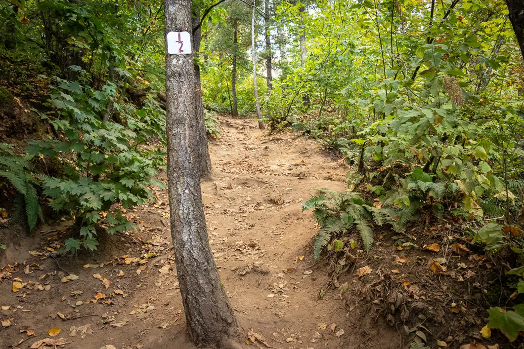 a 1/2 trail marker