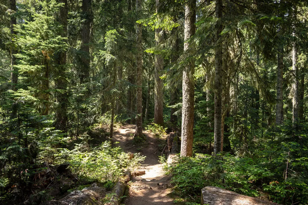 falls lake trail