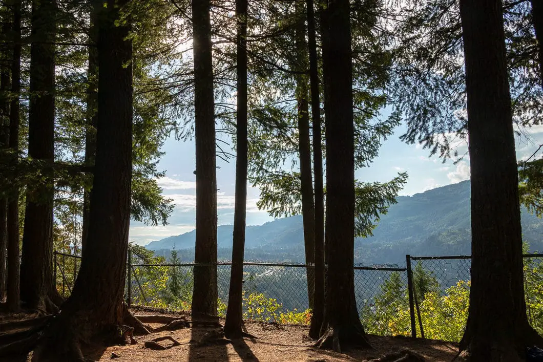 teapot hill lookout