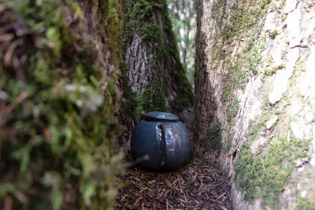 teapot hill 12 | Teapot Hill Hike in Chilliwack