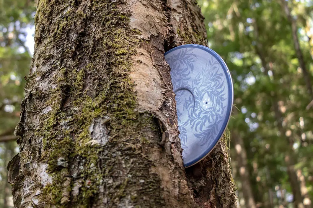 teapot hill 14 | Teapot Hill Hike in Chilliwack