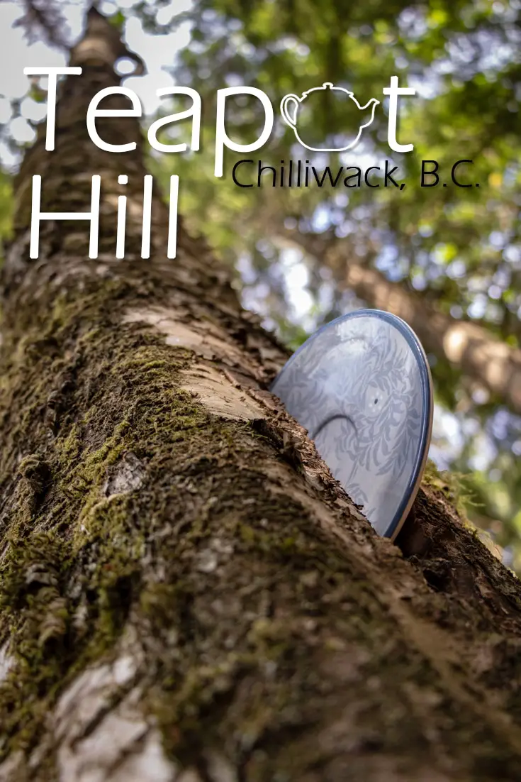 Teapot Hill Hike in Chilliwack 29 Teapot Hill Hike in Chilliwack