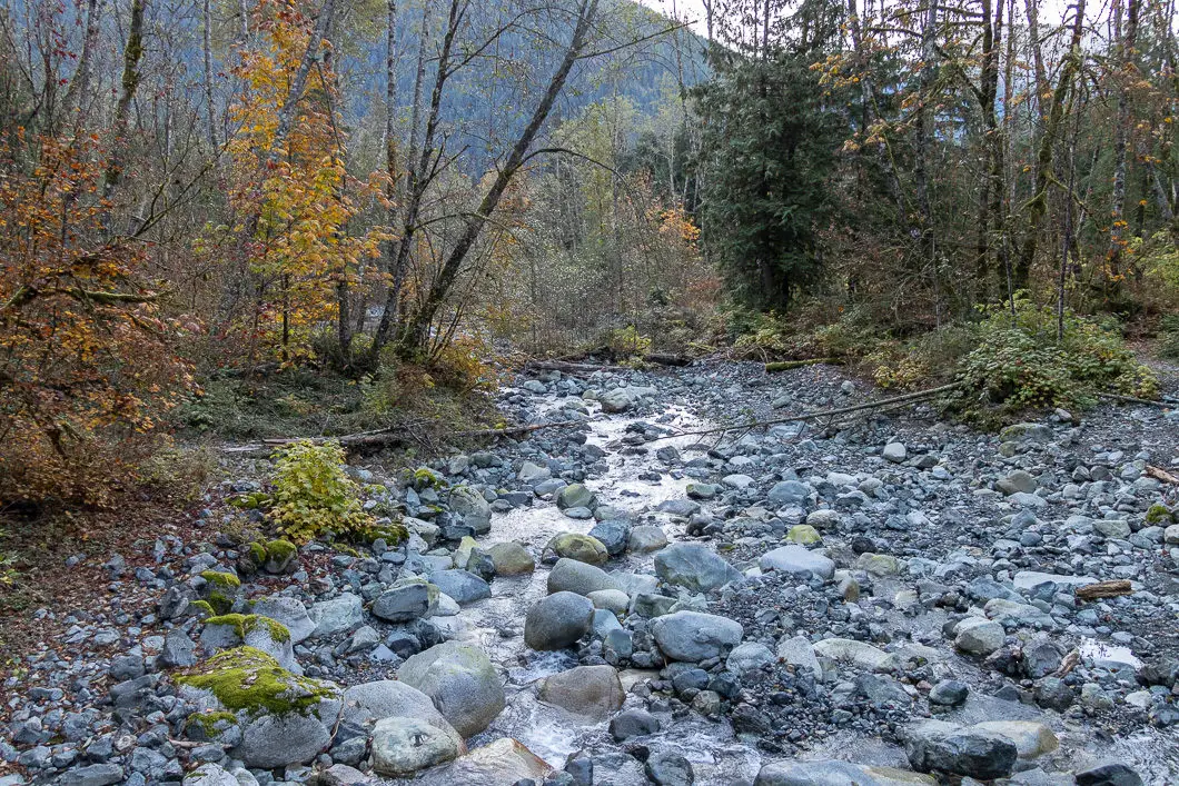 Hiking the Golden Ears Summit 2 A creek on West Canyon Trail