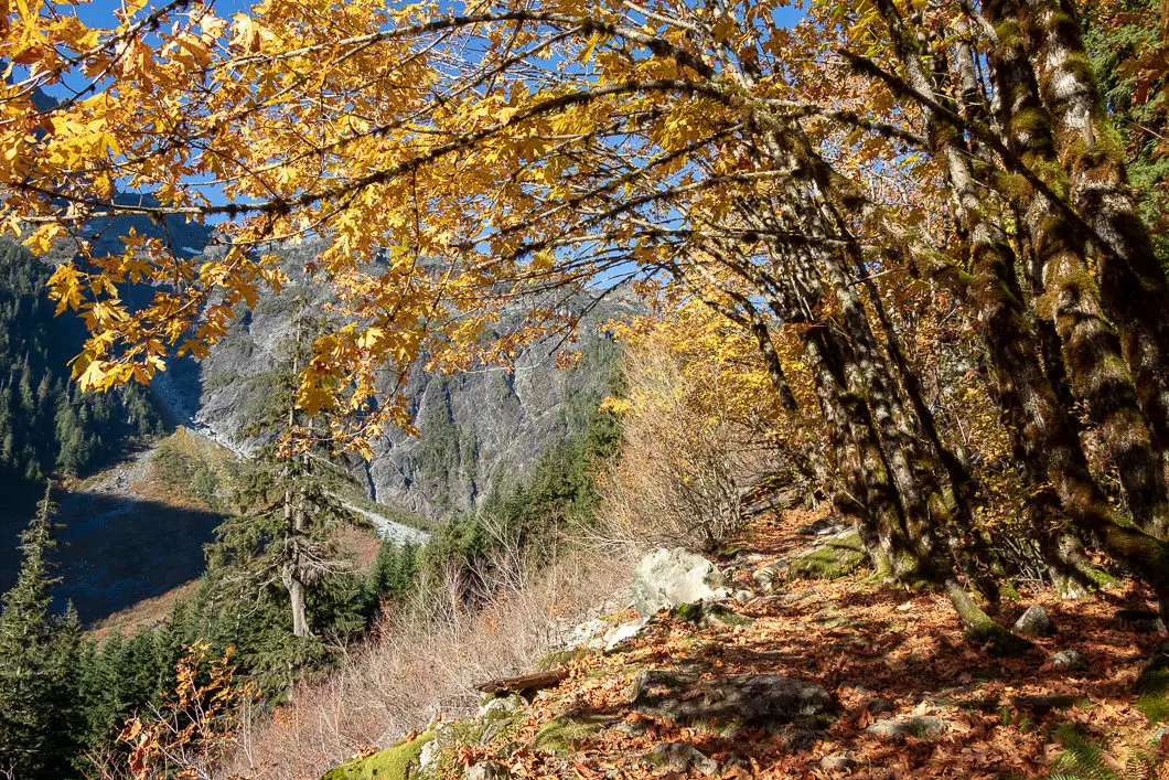 Golden Ears Trail