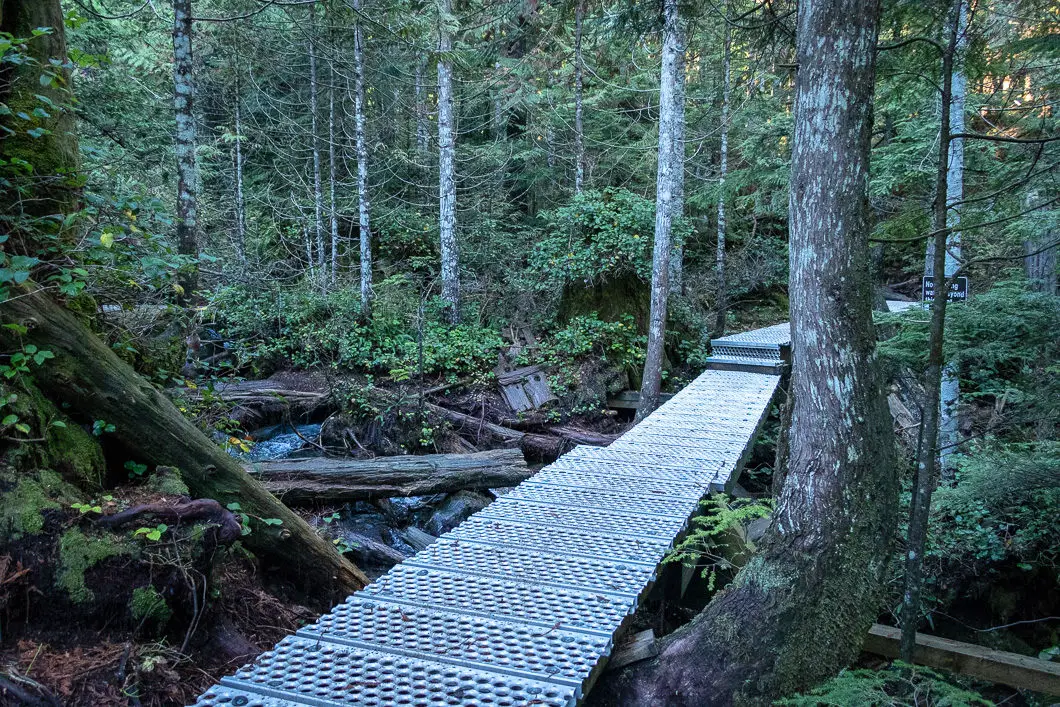 boardwalk on trail