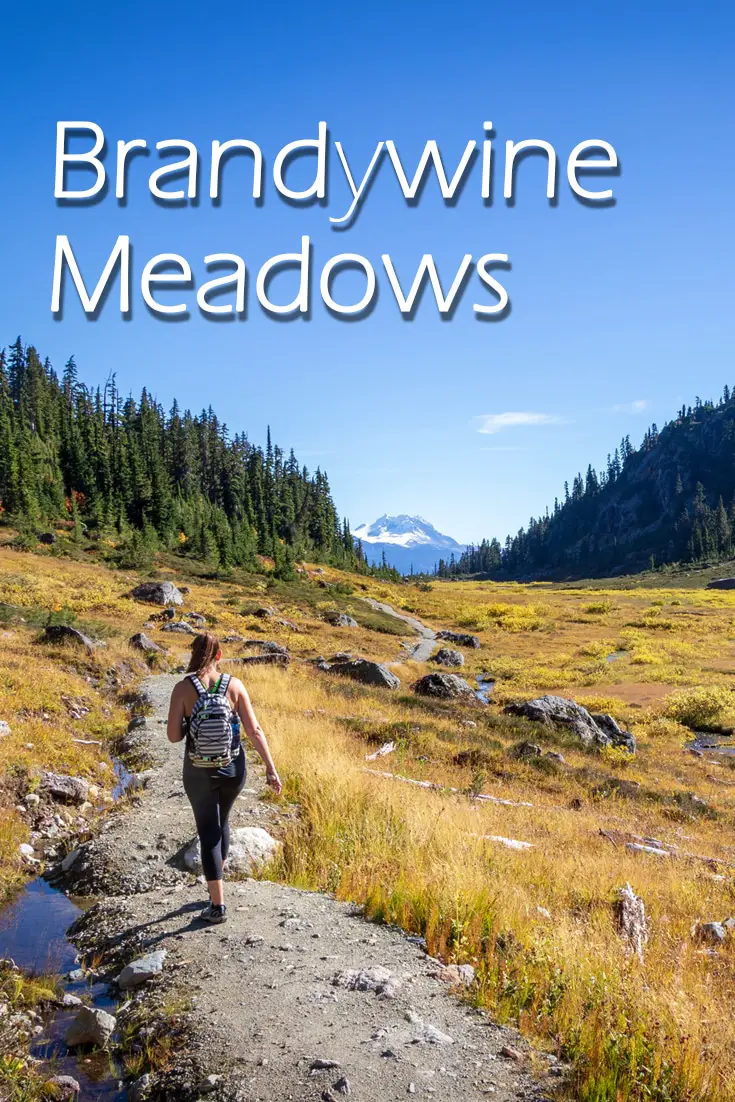 Brandywine Meadows Hike Near Whistler 26 Brandywine Meadows Hike Near Whistler