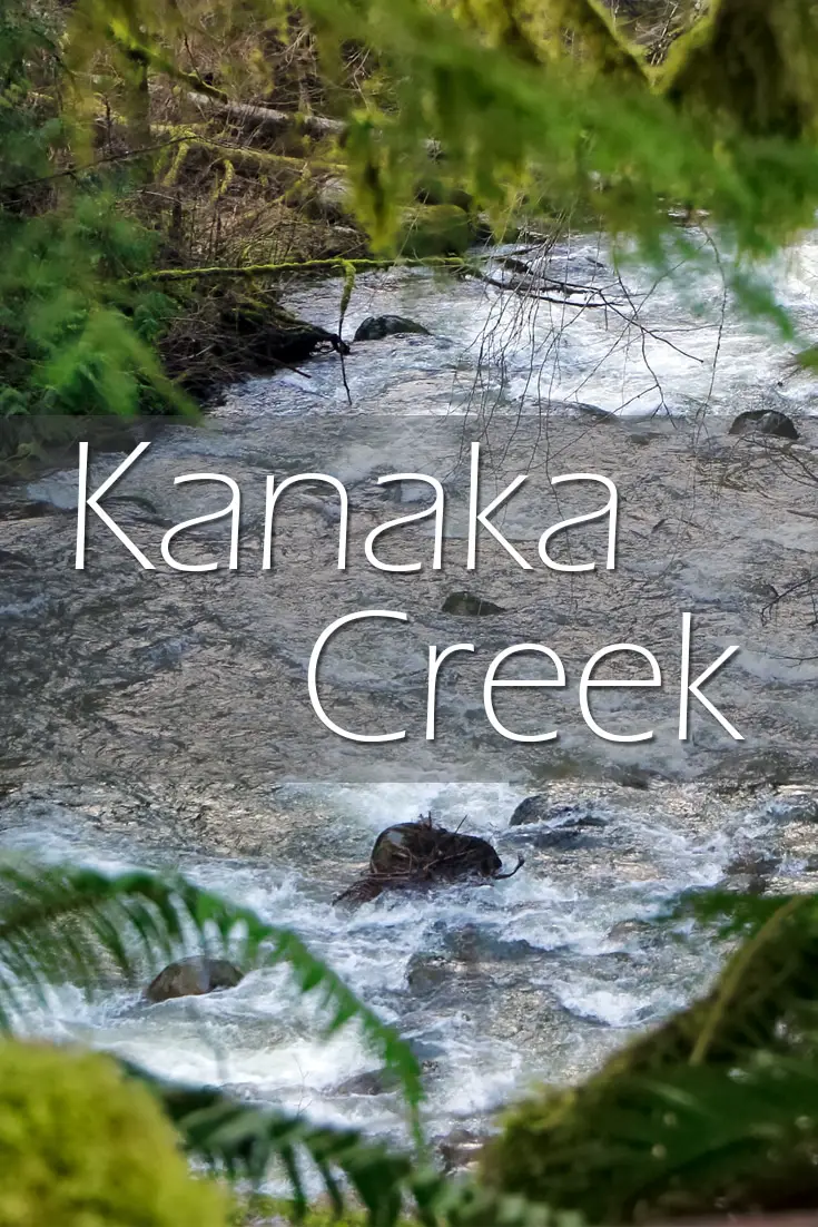 Cliff Falls Hike in Kanaka Creek Park, Maple Ridge