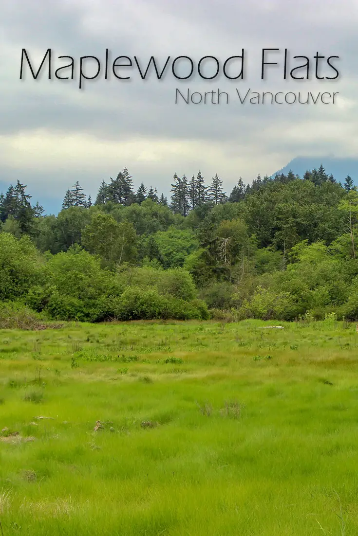 Maplewood Flats in North Vancouver