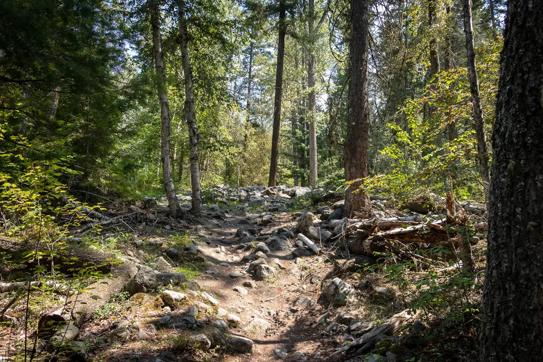 whitecroft falls trail