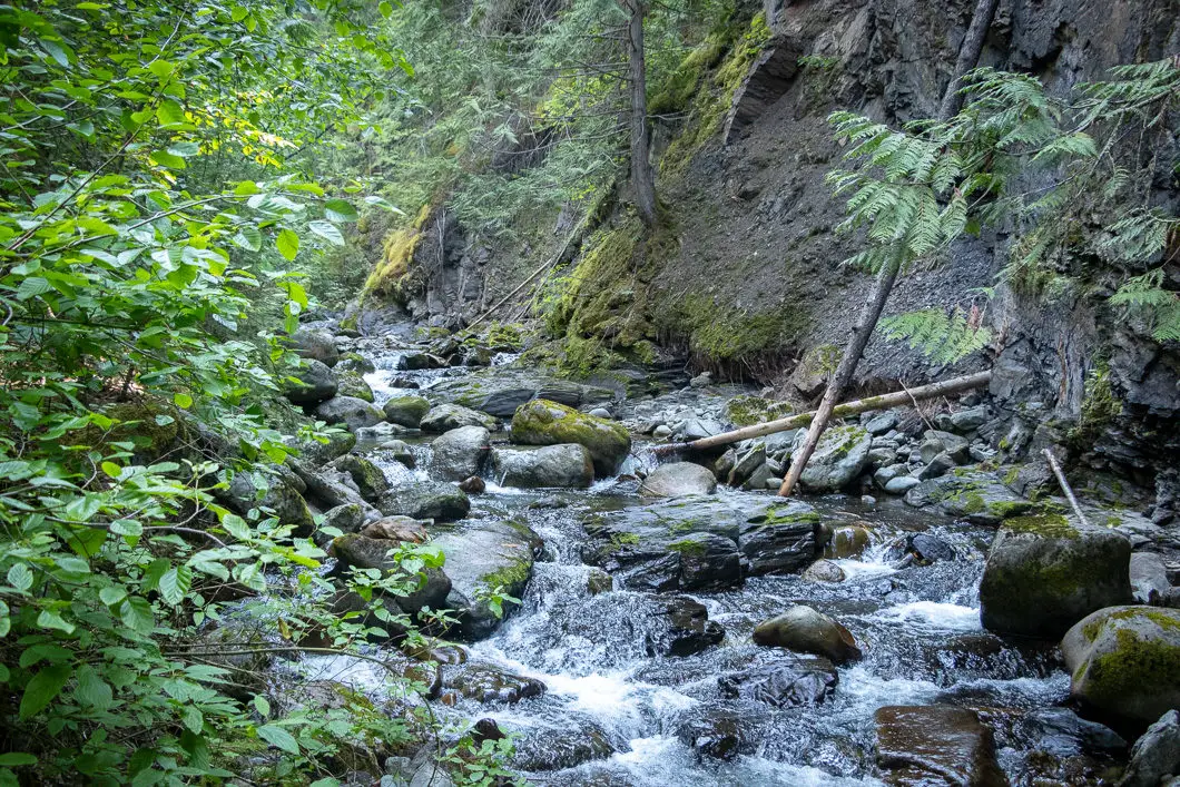 McGillivray Creek