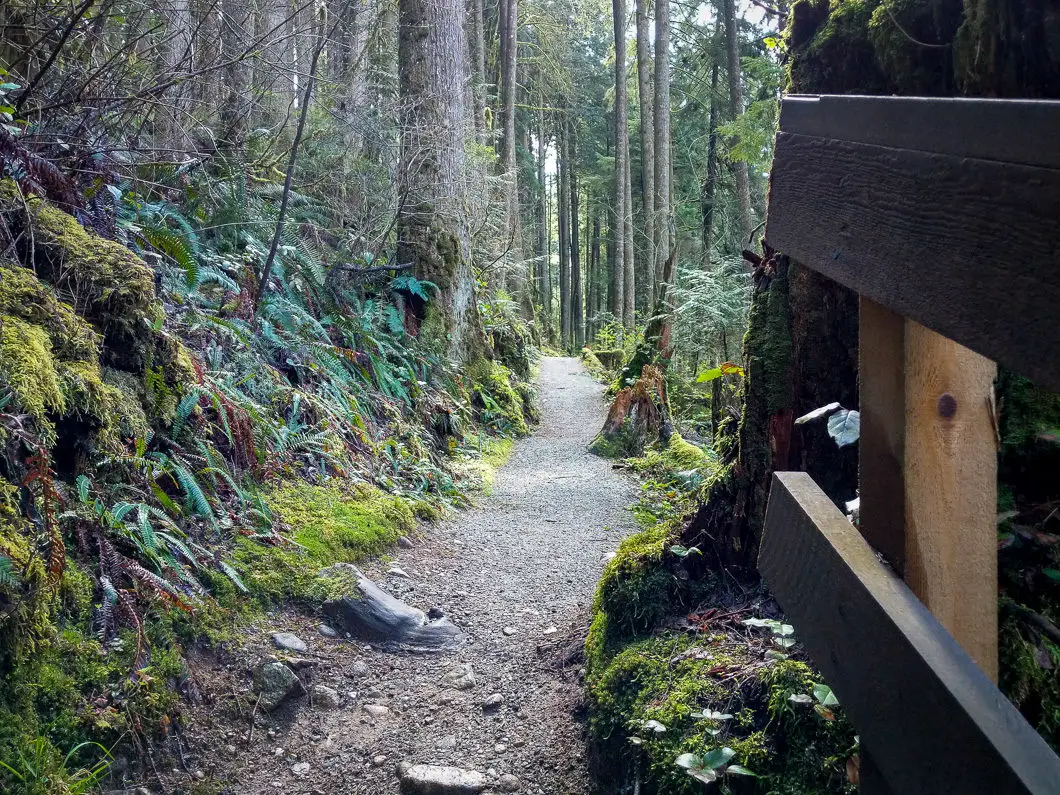Steelhead Falls Hike in Mission, B.C. 4 trail