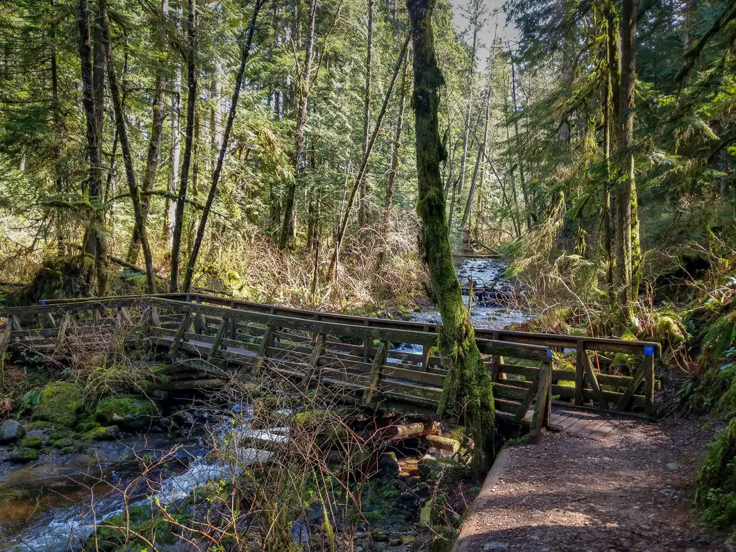 Steelhead Falls Hike in Mission, B.C. 5 bridge