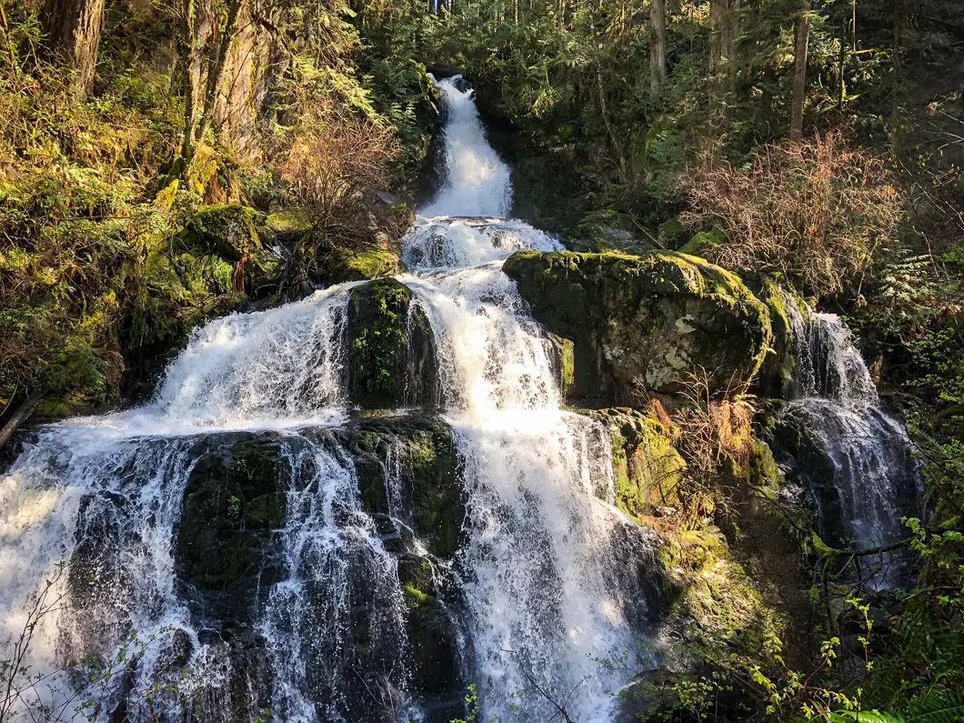 Steelhead Falls Hike in Mission, B.C. 7 Steelhead Falls