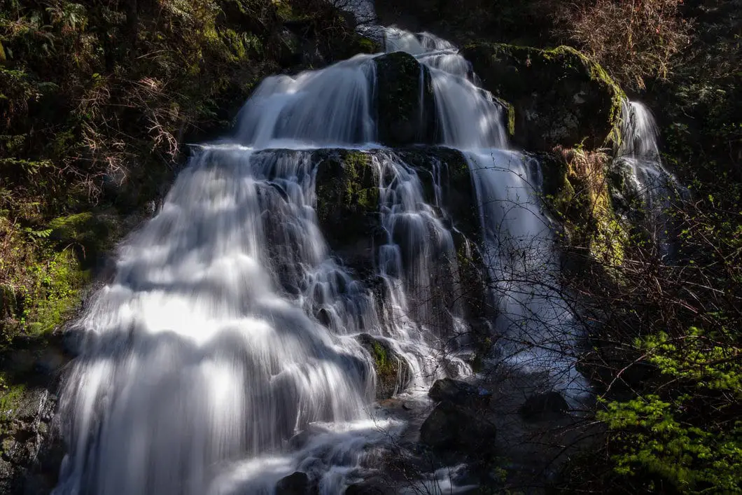 steelhead falls hike 6 | The 16 Best Rainy Day Hikes around Vancouver