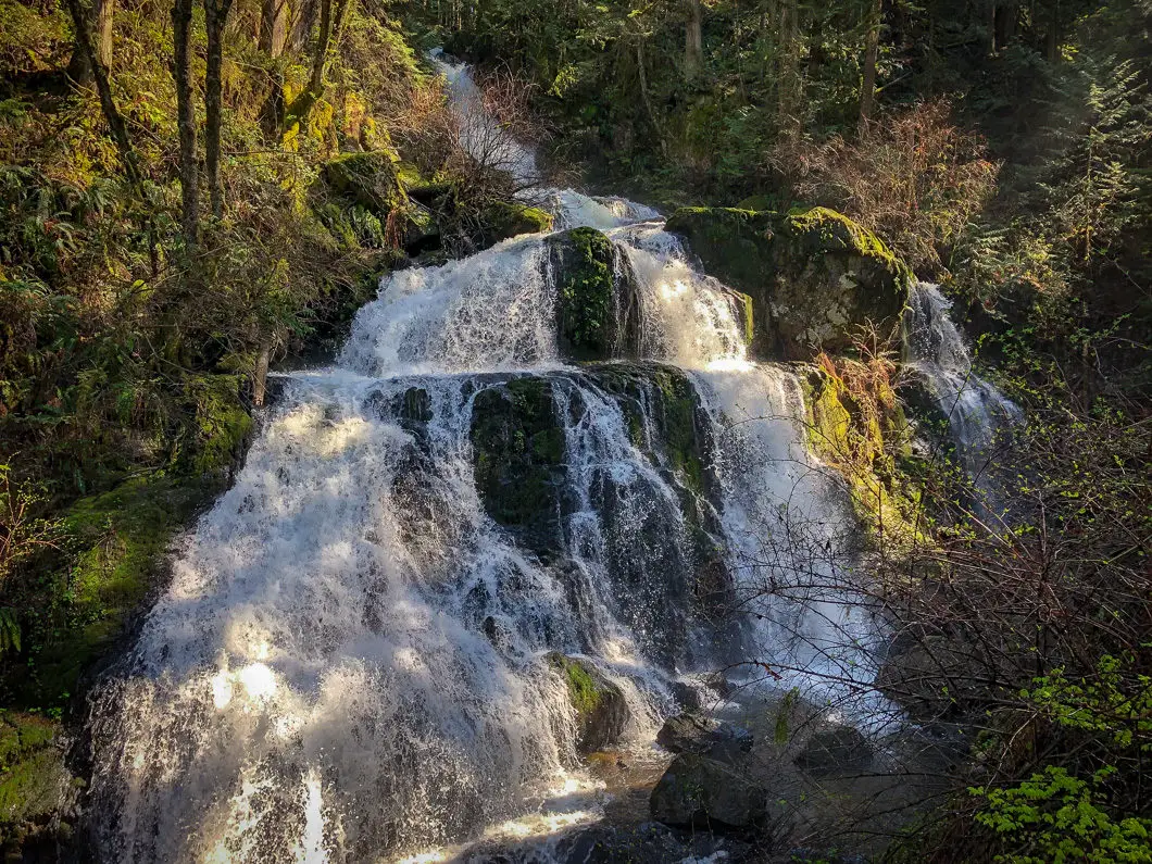 Steelhead Falls Hike in Mission, B.C. 8 Steelhead Falls