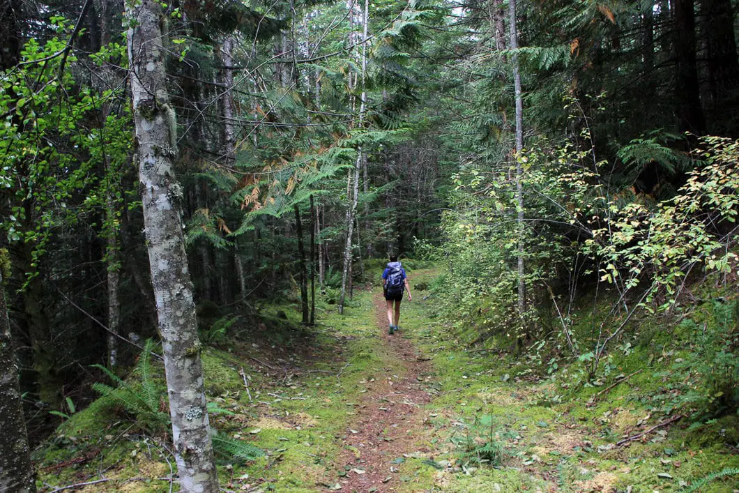 tunnel bluffs 2 | Tunnel Bluffs Hike near Lions Bay