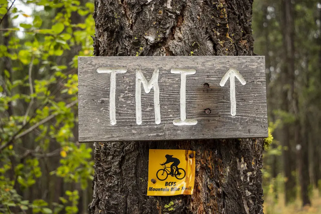 tmi sign