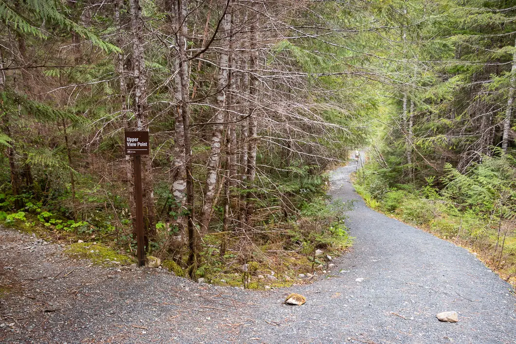 lower myra falls trail