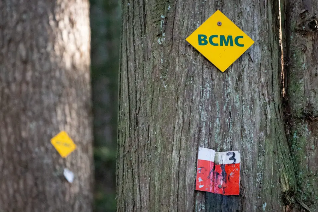 bcmc marker