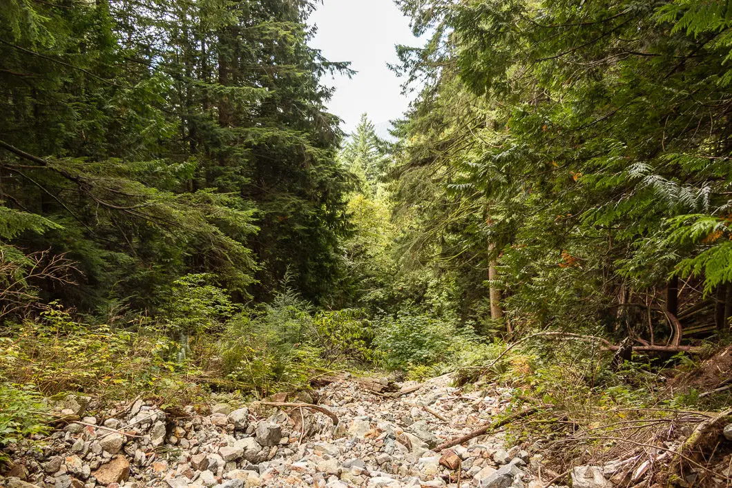 flint feather 1 of 14 | Hiking the Flint and Feather Trail in North Vancouver