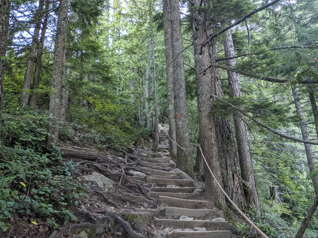 stairs