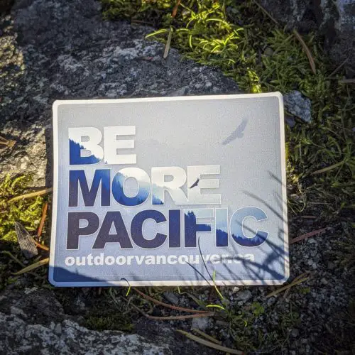 Be More Pacific - Forest Sticker