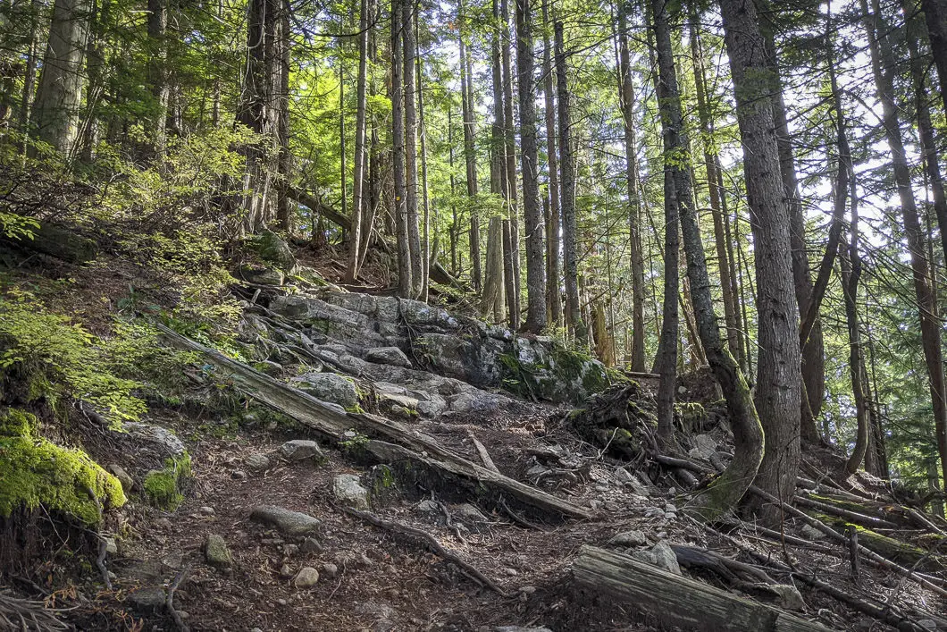 Hiking Lynn Peak Trail in North Vancouver 12 Lynn Peak Trail