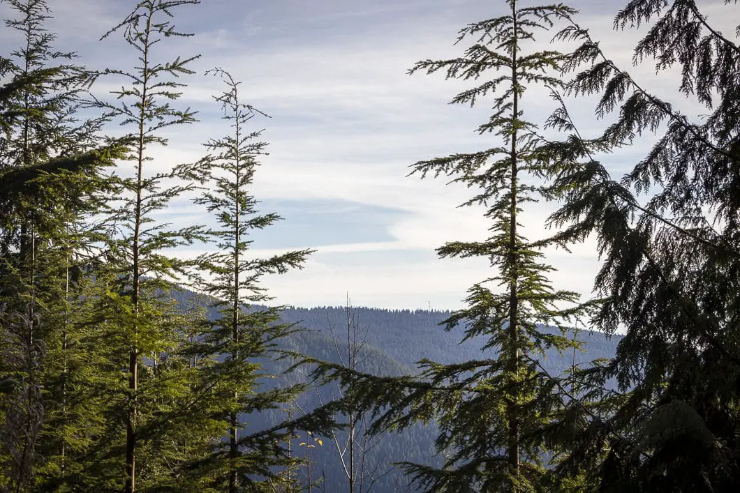 lynn peak 8 | Hiking Lynn Peak Trail in North Vancouver