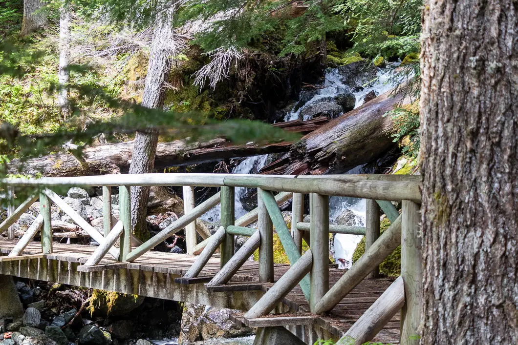 upper myra falls 7 | Upper Myra Falls Hike in Strathcona Provincial Park