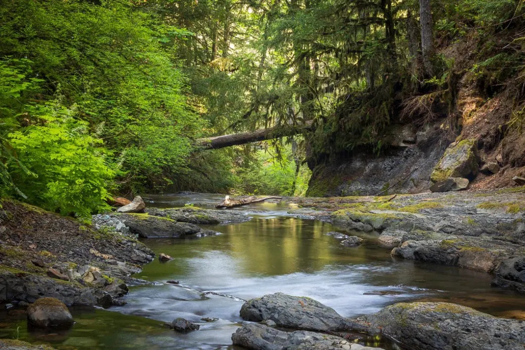 ammonite falls 17 | Ammonite Falls Hike near Nanaimo