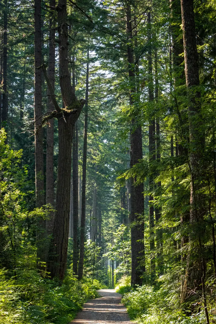 Among Giants 4 Among Giants