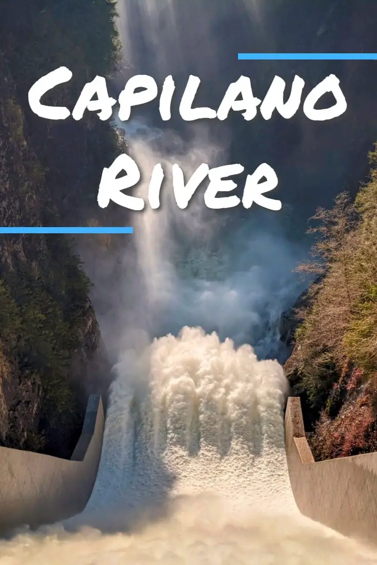 Capilano River Regional Park Hike | Capilano Canyon Loop 53 Capilano River Regional Park Hike | Capilano Canyon Loop
