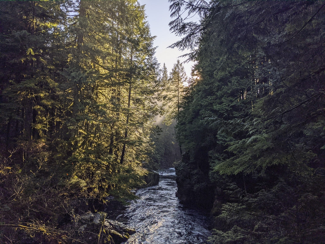 capilano park 5 | Where to Hike during COVID-19. The Best Trails for Social Distancing
