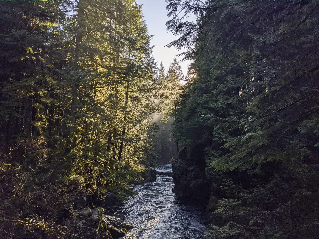 capilano park 5 | Capilano River Regional Park Hike | Capilano Canyon Loop