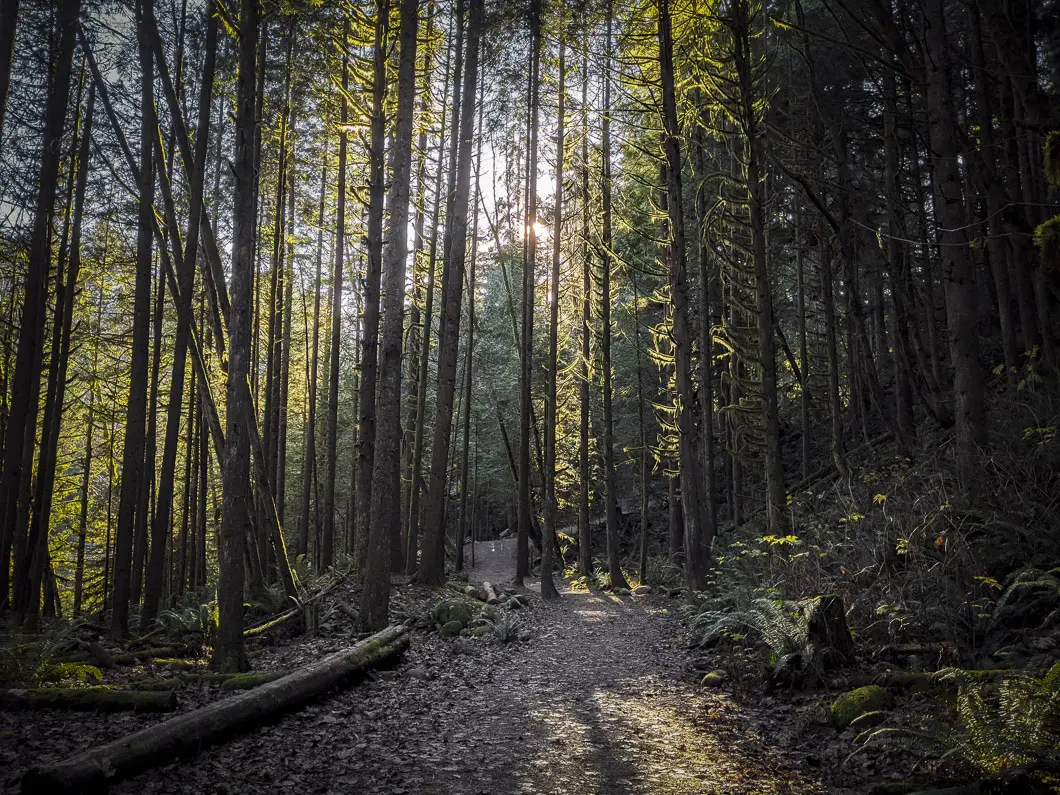 capilano river park 12 | 16 Best Dog Hikes: The Ultimutt Guide to Hiking with Dogs around Vancouver