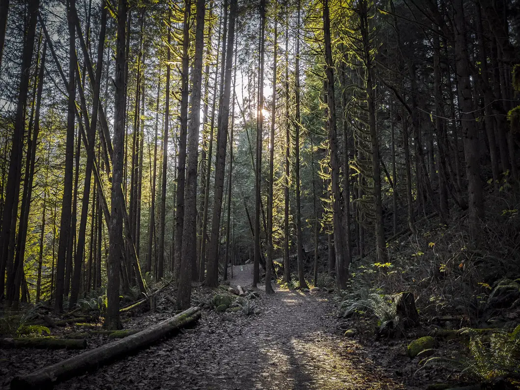 capilano river park 12 | Capilano River Regional Park Hike | Capilano Canyon Loop