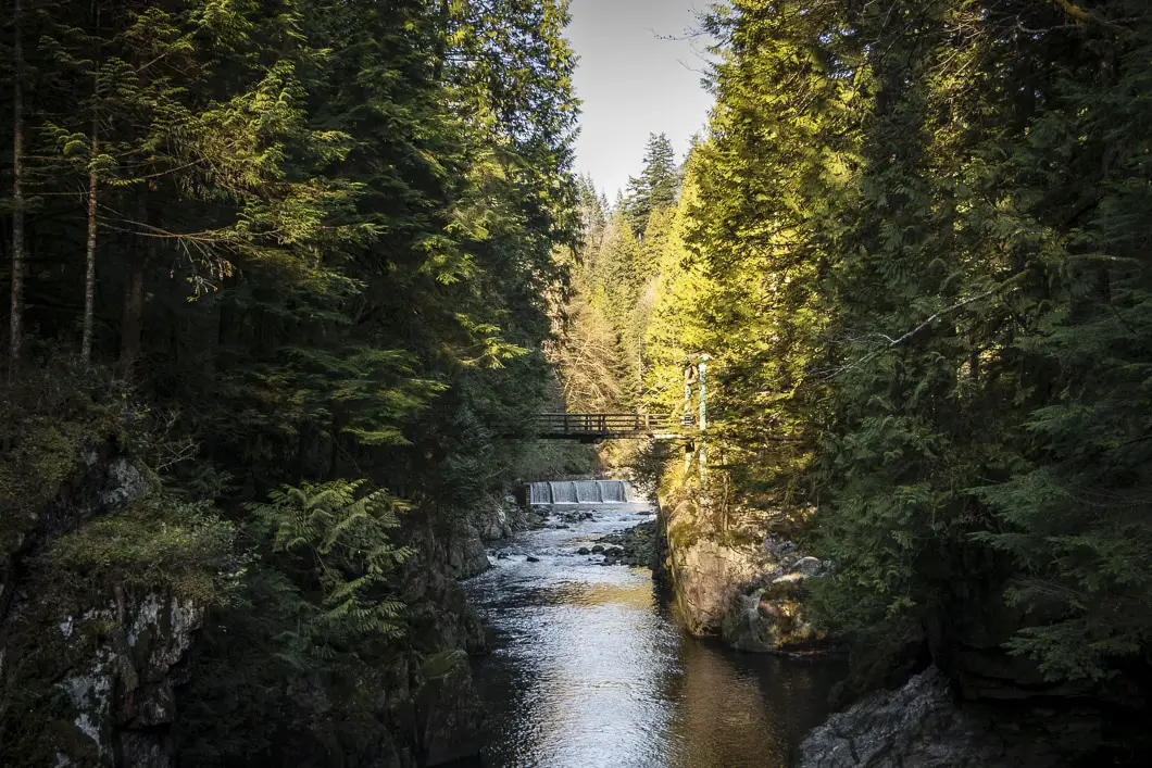 capilano river park 34 | Capilano River Regional Park Hike | Capilano Canyon Loop