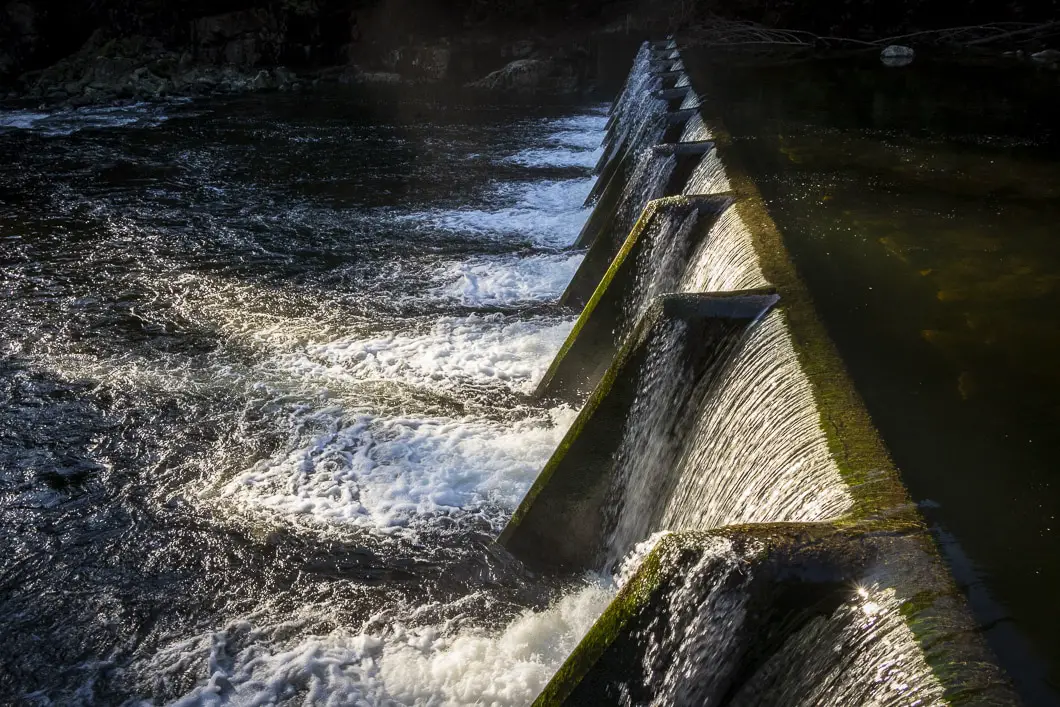 capilano river park 40 | Capilano River Regional Park Hike | Capilano Canyon Loop