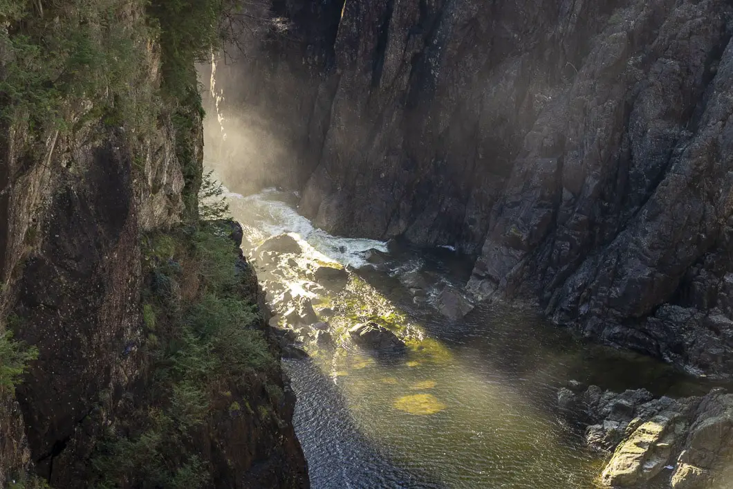 capilano river park 5 | Capilano River Regional Park Hike | Capilano Canyon Loop