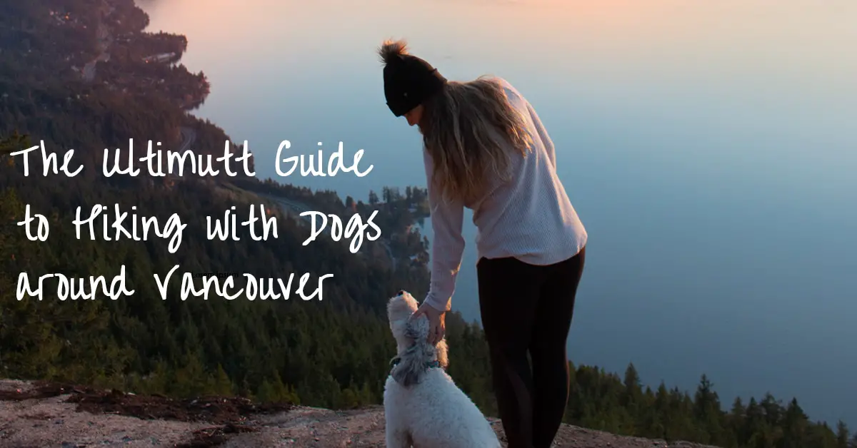 dog hikes sm | #OutdoorVancouver