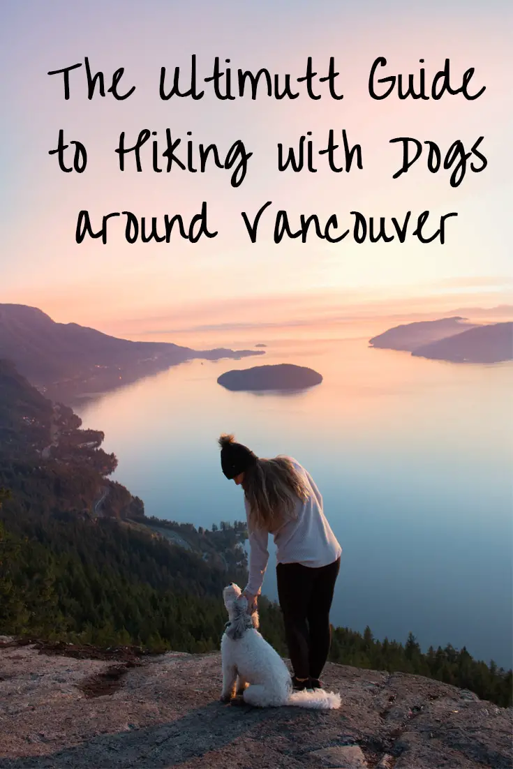 16 Best Dog Hikes: The Ultimutt Guide to Hiking with Dogs around Vancouver 26 16 Best Dog Hikes: The Ultimutt Guide to Hiking with Dogs around Vancouver