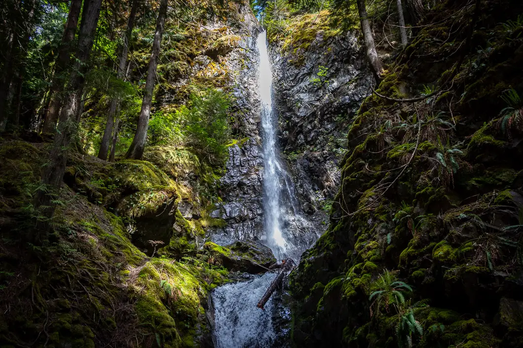lupin falls 6 | Lupin Falls Hike in Strathcona Provincial Park