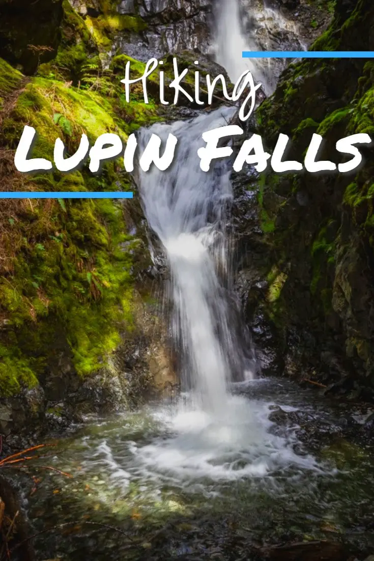 Lupin Falls Hike in Strathcona Provincial Park 28 Lupin Falls Hike in Strathcona Provincial Park