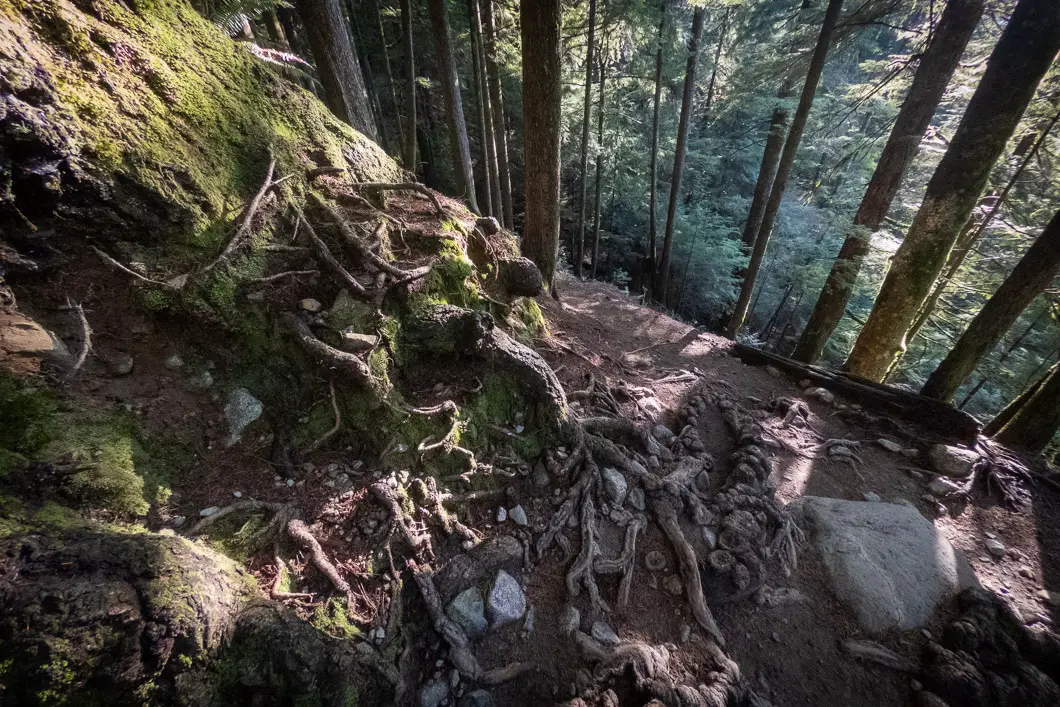 lynn loop trail 4 of 5 | Lynn Loop Trail Hike in North Vancouver
