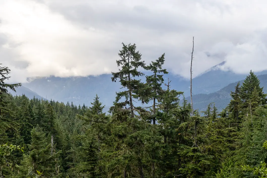Hiking to Rainbow Falls in Whistler 8 rainbow falls 10 | Hiking to Rainbow Falls in Whistler
