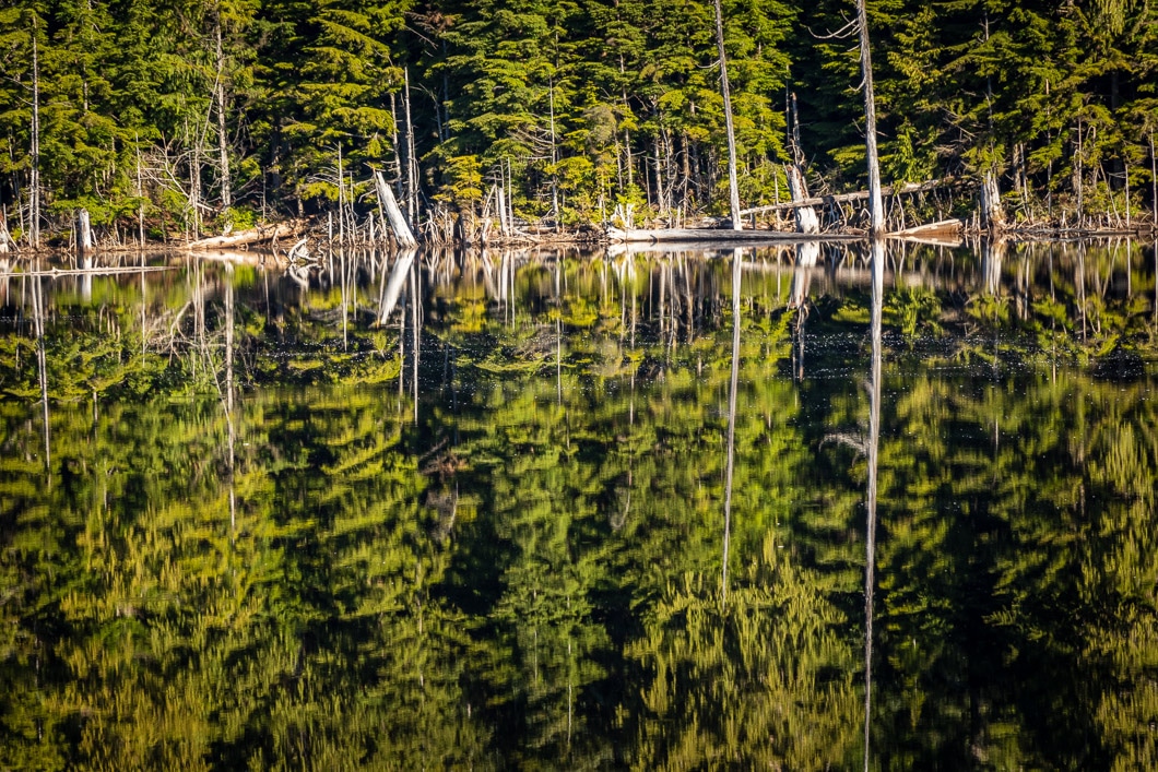cypress lake hike 13 | Cypress Lake Hike in Coquitlam, B.C.