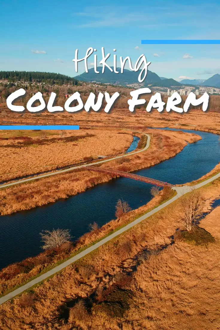 Hiking Colony Farm in Port Coquitlam